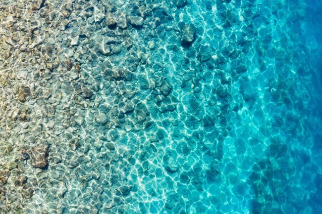Brands That Achieved Market Dominance Through Radical Transparency